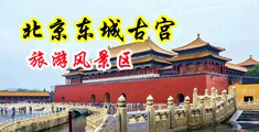 欧美少妇bb中国北京-东城古宫旅游风景区